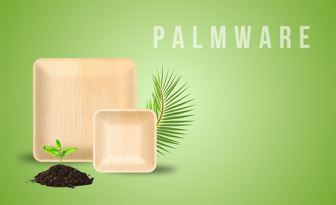 Palmware Product - Magnus EKO